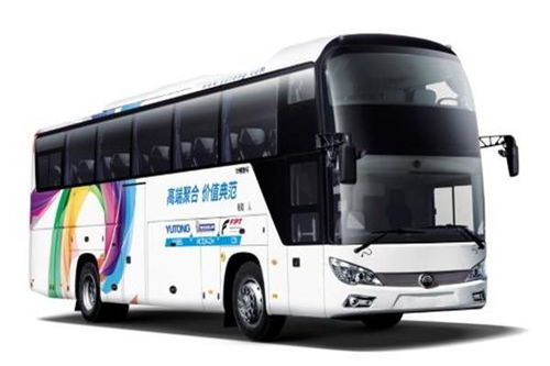 嘉善至平頂山長途汽車客運指南與票務代理服務詳解